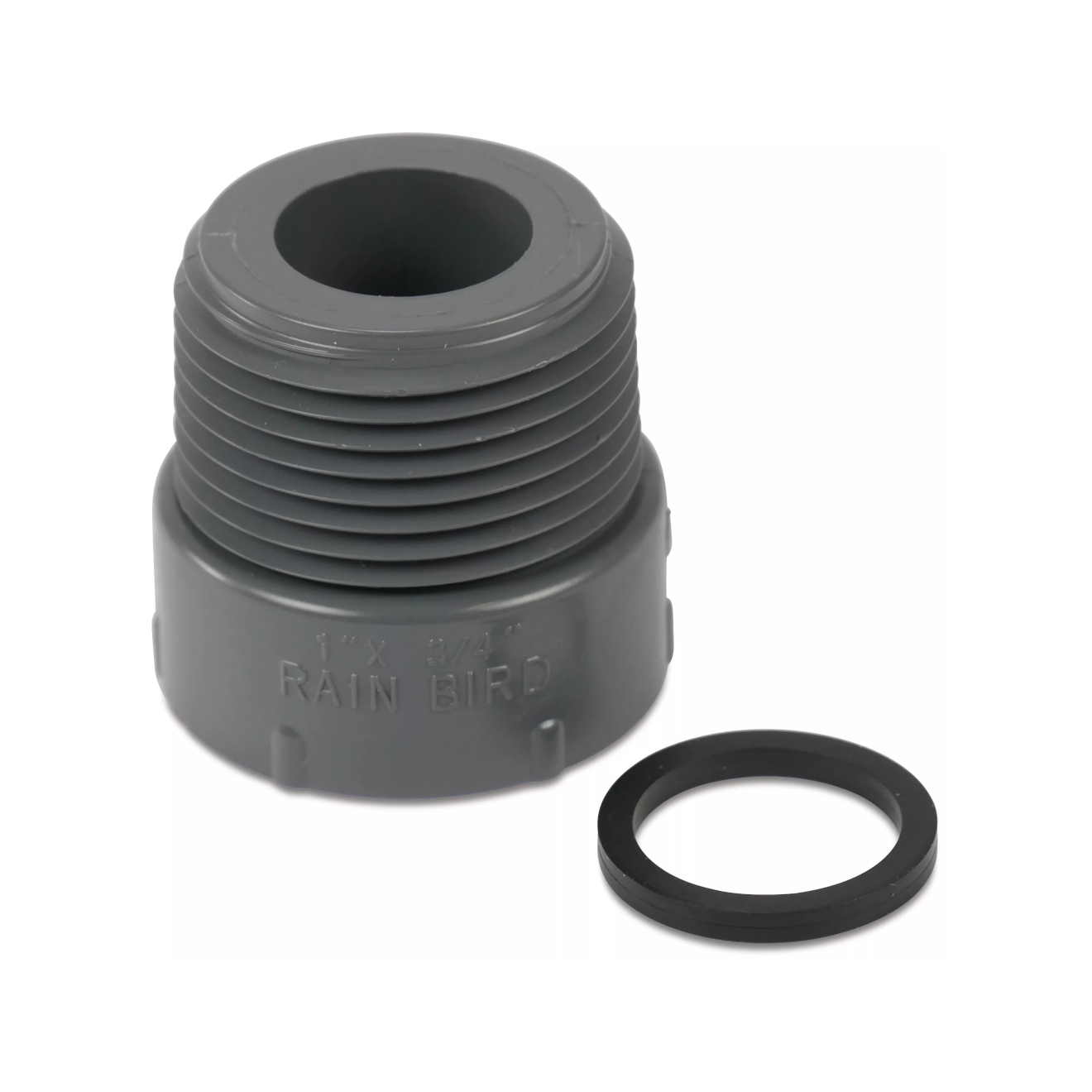 Rain Bird Verschraubung Typ RB1200, 1“ AG